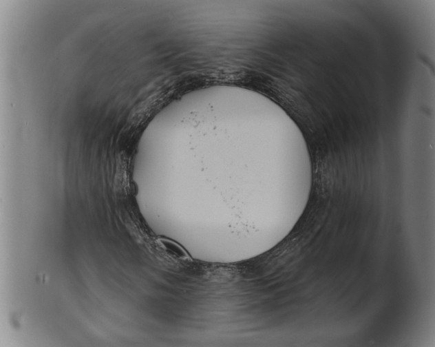 X0000100841058200807111146