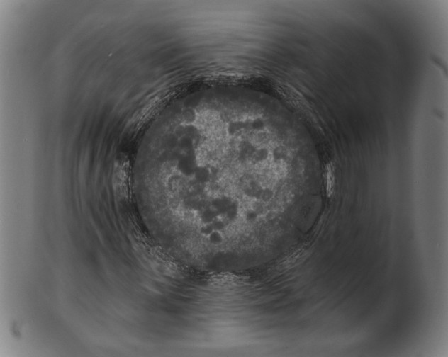 X0000100841059200807111146