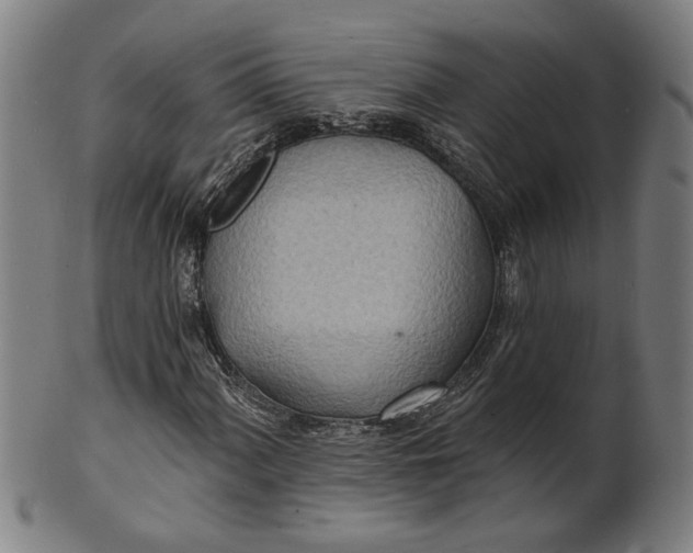 X0000100841060200807111146