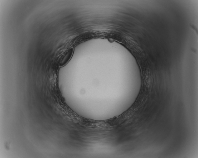 X0000100841061200807111146