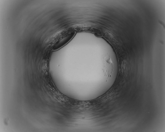 X0000100841062200807111146