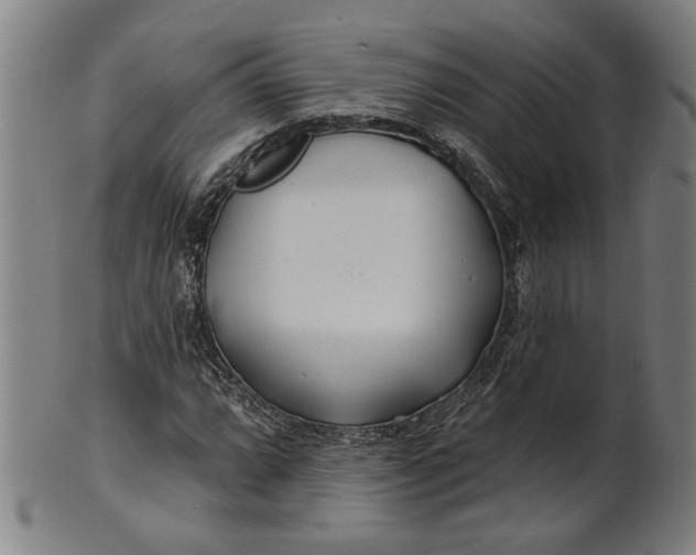 X0000100841064200807111146