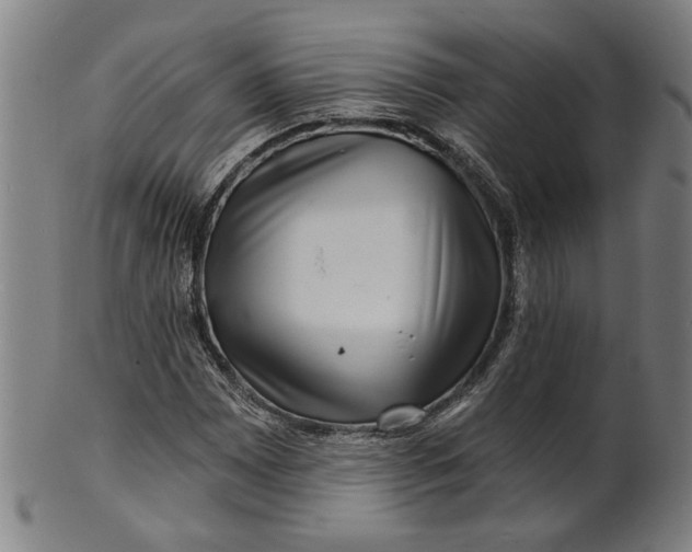 X0000100841065200807111146