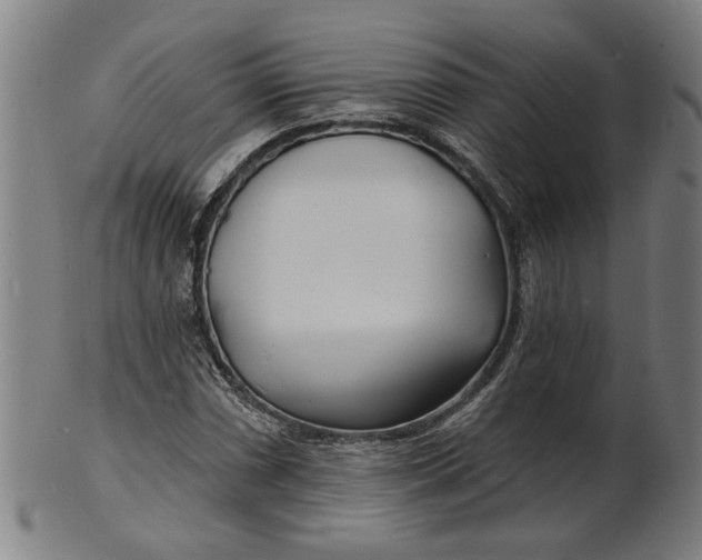 X0000100841066200807111146