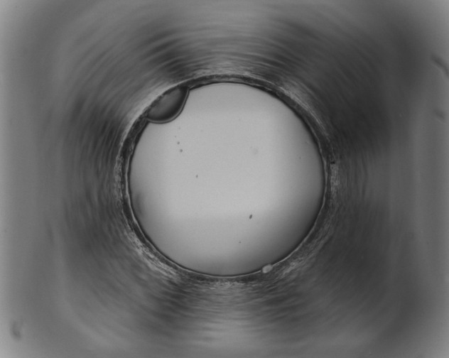 X0000100841068200807111146