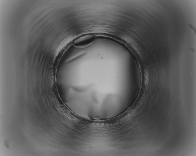 X0000100841069200807111146