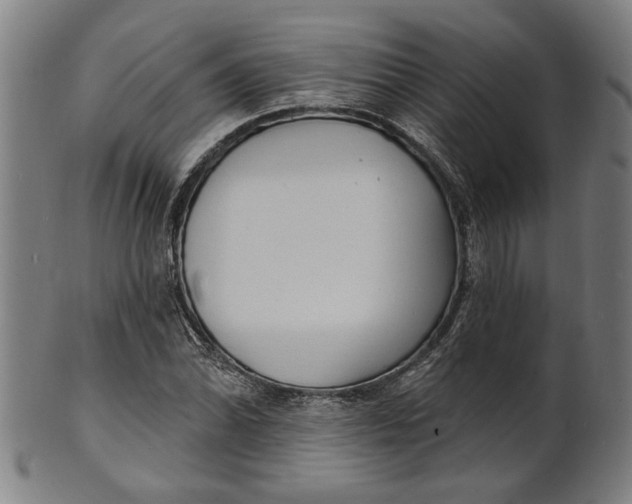 X0000100841070200807111146