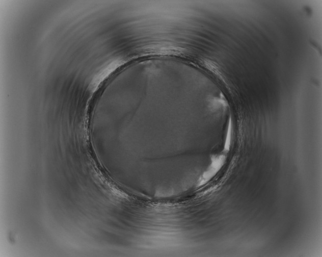 X0000100841071200807111146