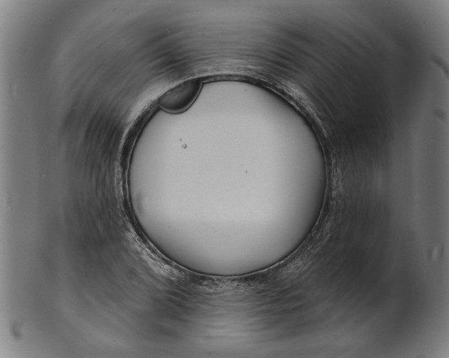 X0000100841072200807111146