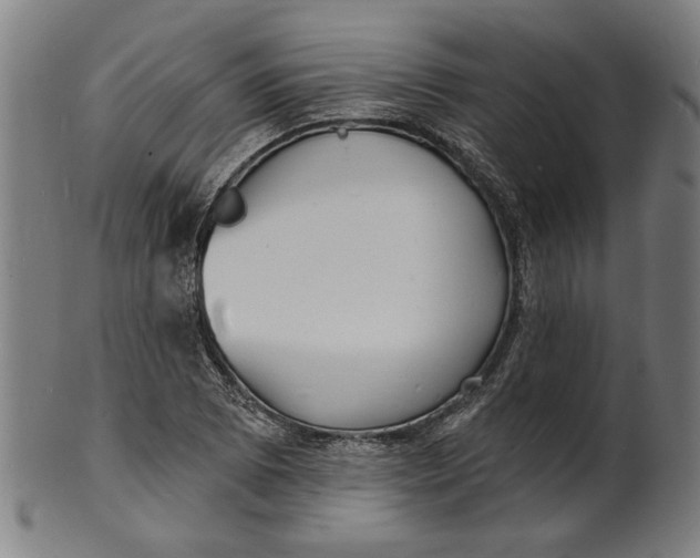 X0000100841073200807111146