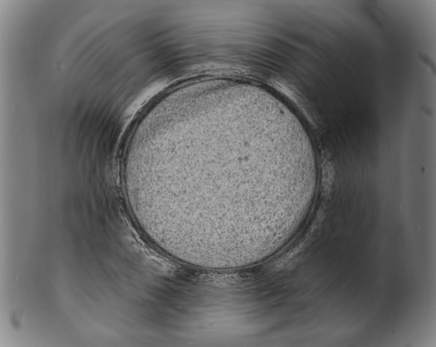 X0000100841074200807111146