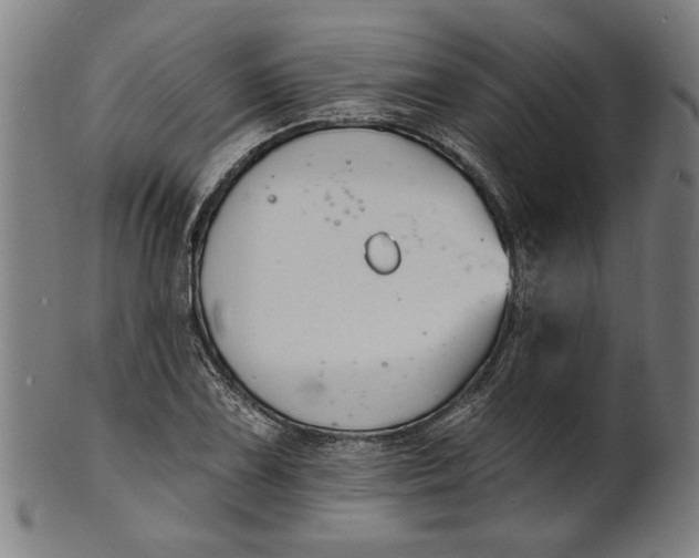 X0000100841075200807111146