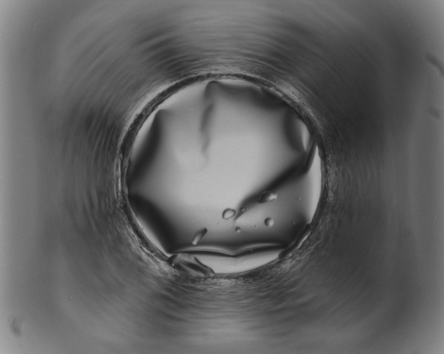 X0000100841076200807111146