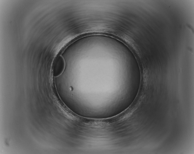 X0000100841077200807111146