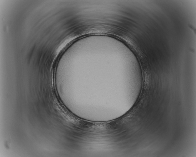 X0000100841078200807111146