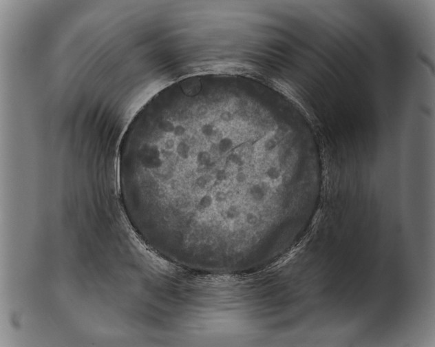 X0000100841079200807111146