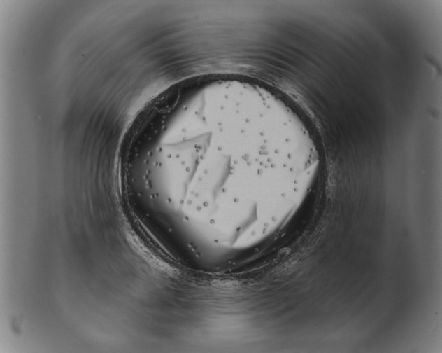 X0000100841080200807111146