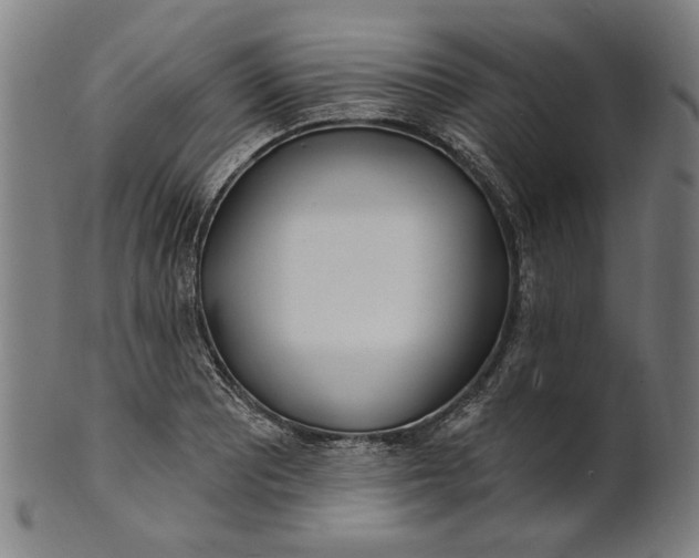 X0000100841081200807111146