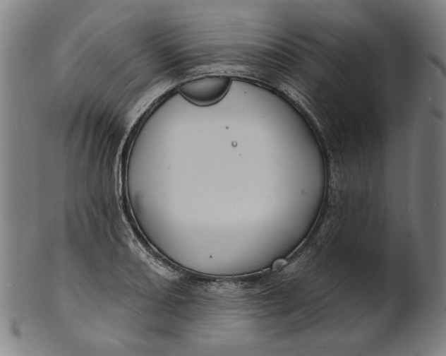 X0000100841082200807111146