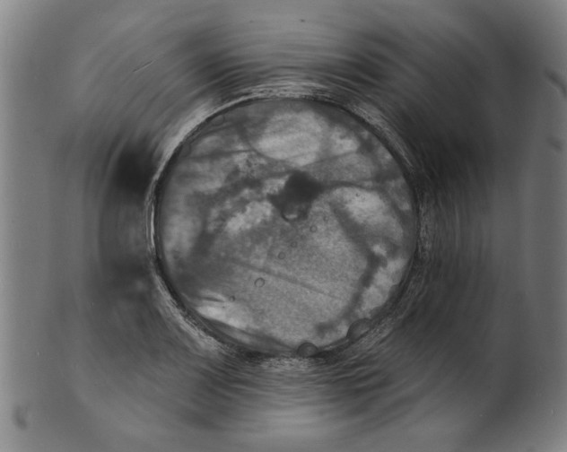 X0000100841083200807111146