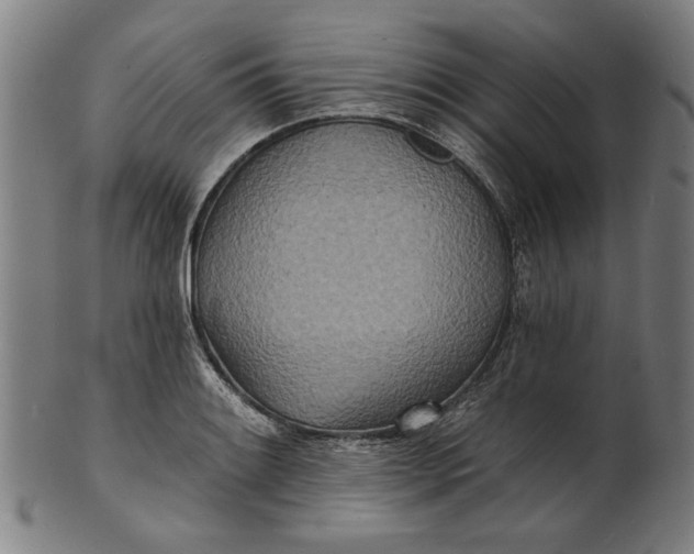 X0000100841084200807111145