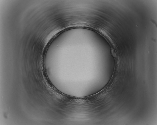 X0000100841085200807111145