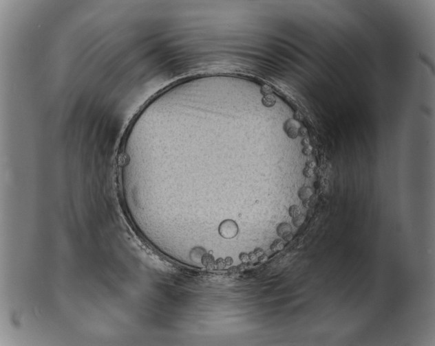 X0000100841086200807111145