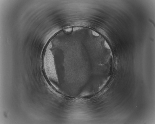 X0000100841087200807111145