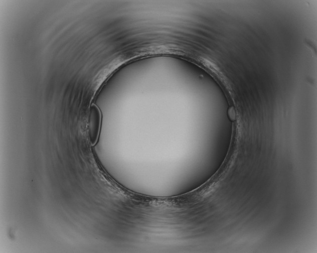 X0000100841089200807111145