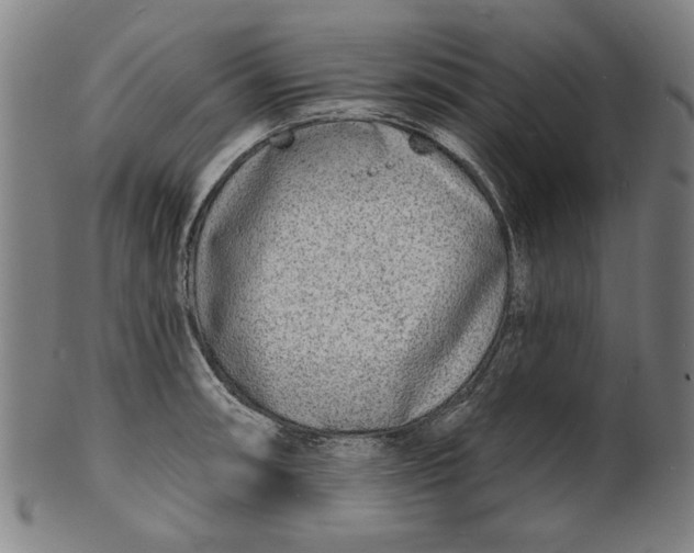 X0000100841090200807111145