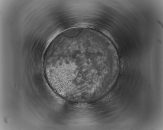 X0000100841091200807111145