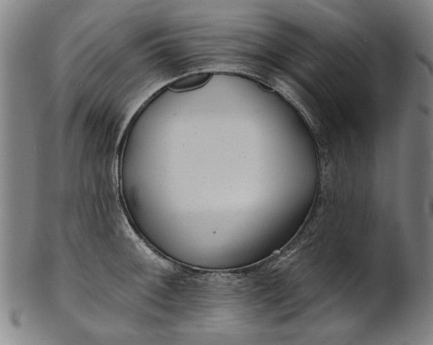 X0000100841092200807111145