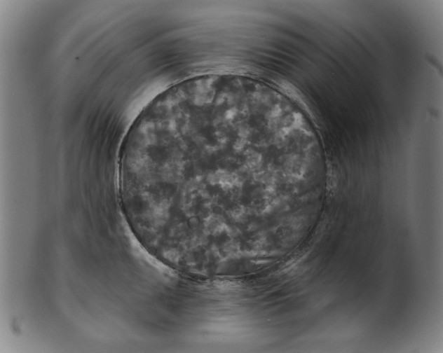 X0000100841095200807111145