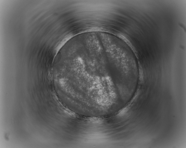 X0000100841097200807111145