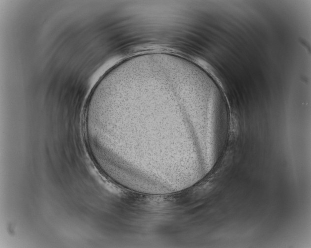 X0000100841098200807111145