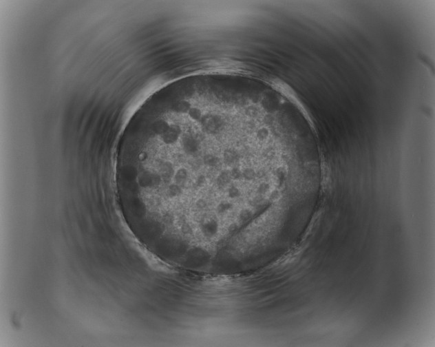 X0000100841099200807111145