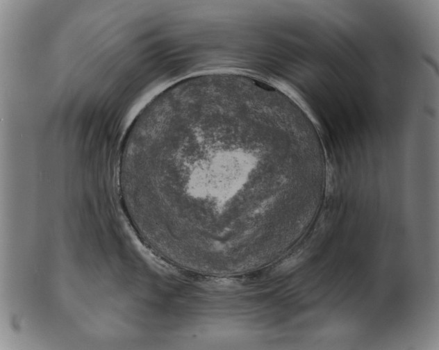 X0000100841101200807111145