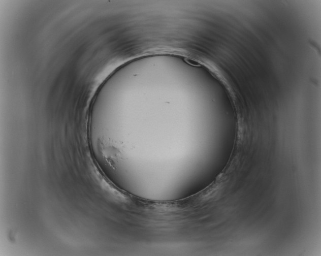 X0000100841102200807111145