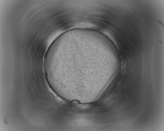 X0000100841103200807111145