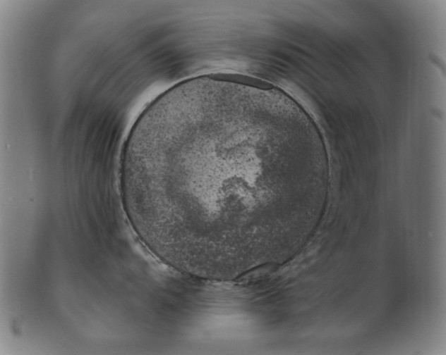 X0000100841104200807111145