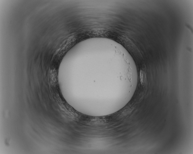 X0000100841107200807111144