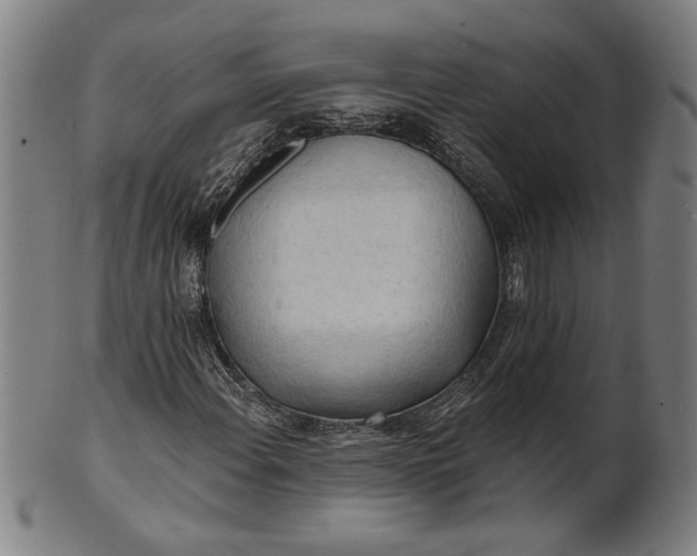 X0000100841108200807111144