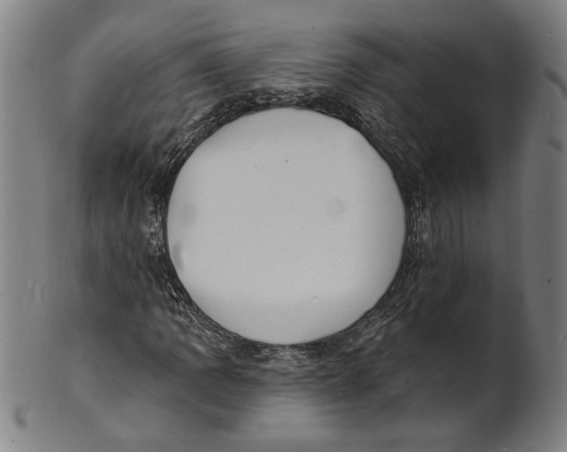 X0000100841109200807111144