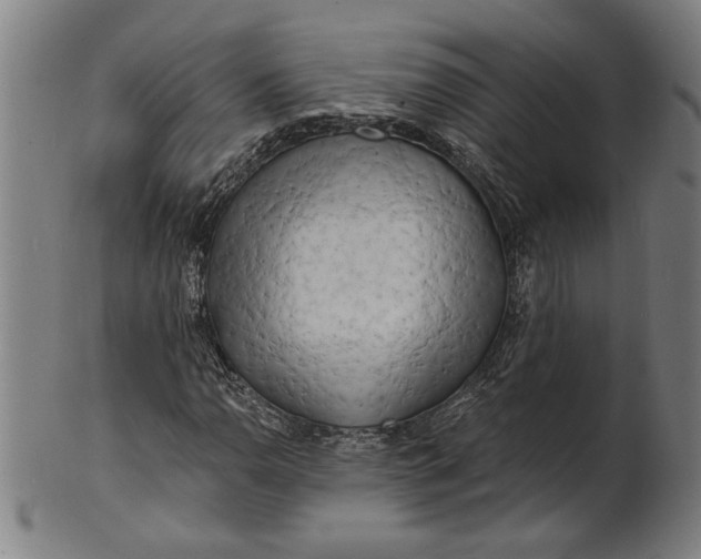 X0000100841110200807111144