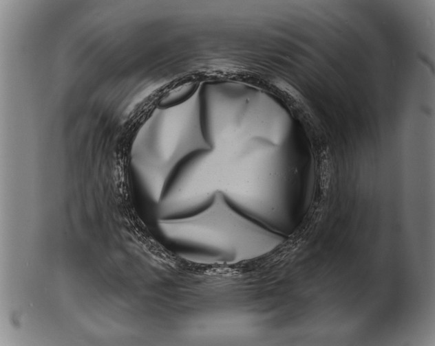 X0000100841112200807111144