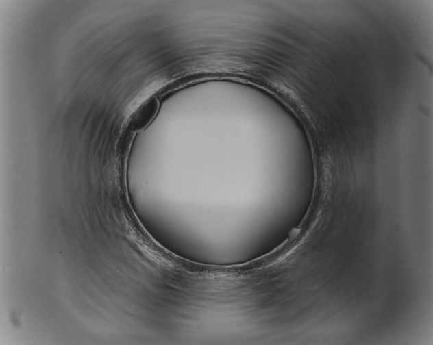 X0000100841114200807111144