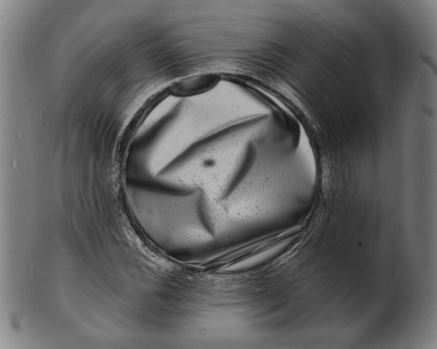 X0000100841116200807111145