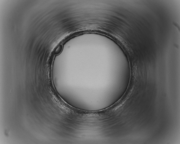 X0000100841118200807111145