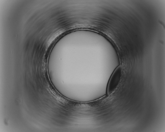 X0000100841119200807111145