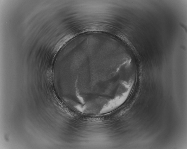 X0000100841121200807111145